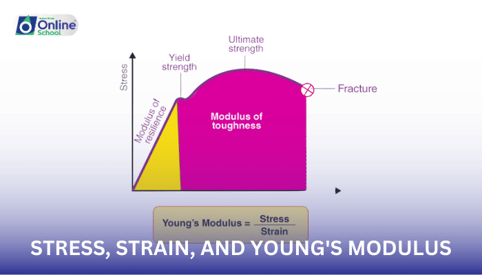 Lesson 15: Stress, Strain, and Young's Modulus